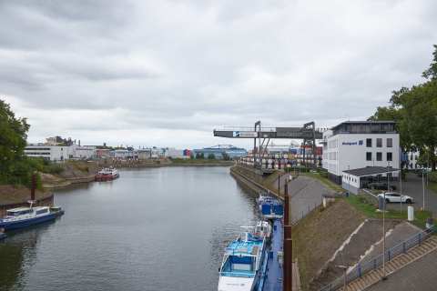 20250817_IMGP5581