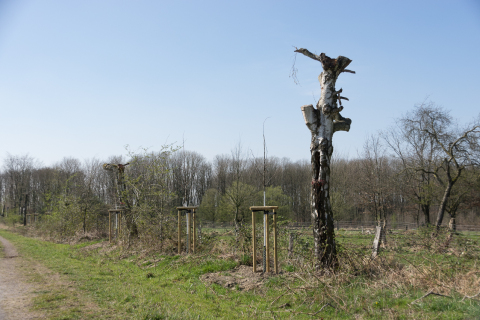 20220326-IMGP1823