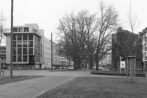20130303-_IMG0006_600px