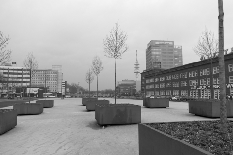 20130303-_IMG0053_600px