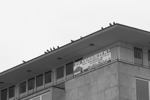 20130303-_IMG0066_600px