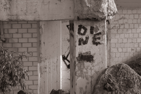 IGP0014_1000px
