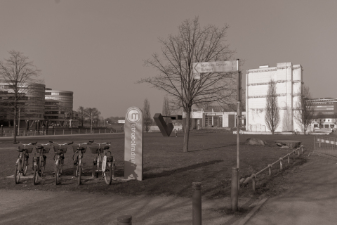 IGP0026_1000px