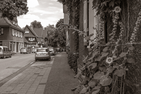 20100807__IGP3427
