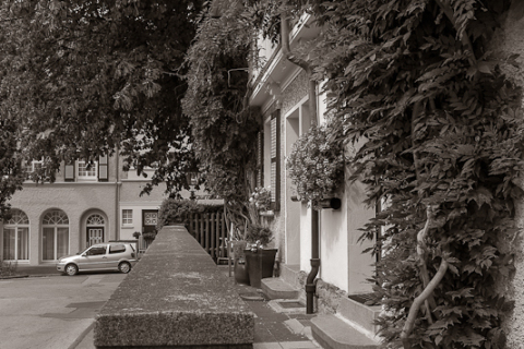 20100807__IGP3430