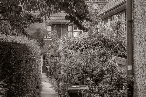 20100807__IGP3435