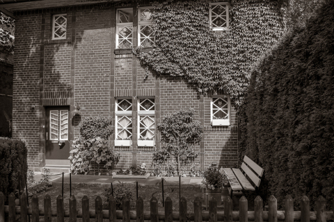20100807__IGP3462