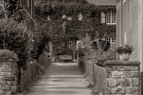 20100807__IGP3471
