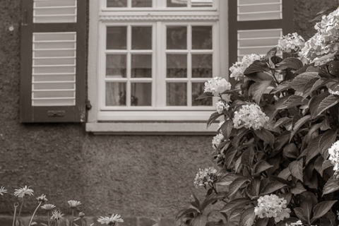 20100807__IGP3473