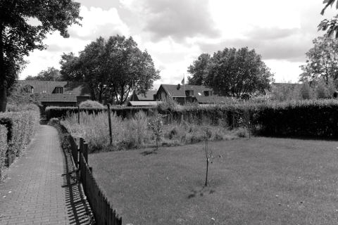 20120730_IGP0022