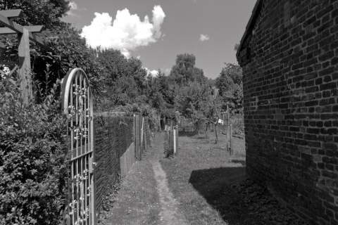 20120730_IGP0039