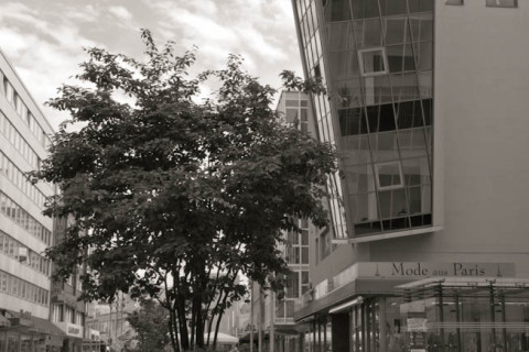 20120520_IGP0062