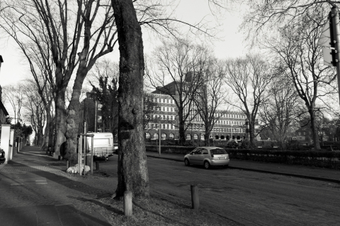 20120321_IGP0074