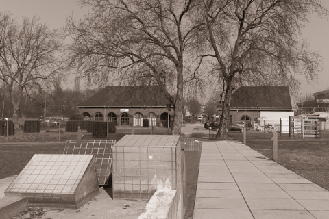 IGP0047_1000px