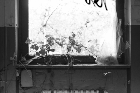 20120422_IGP0010