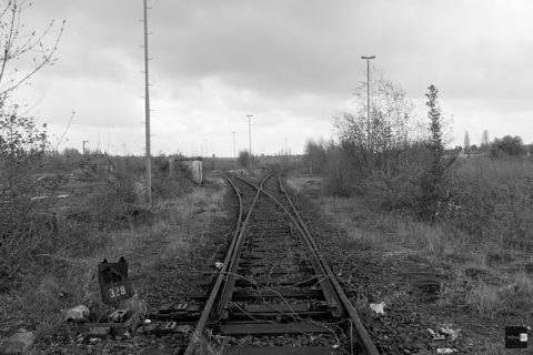 20120422_IGP0075