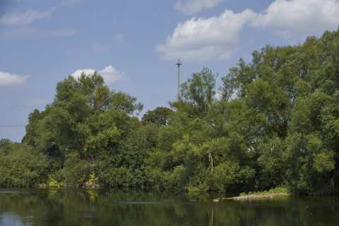 20250809_IMGP5548