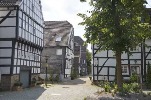 20250809_IMGP5560