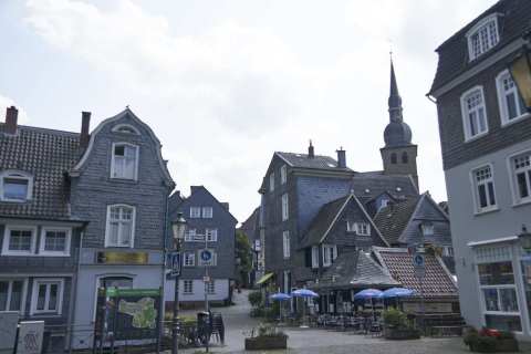 20250809_IMGP5567
