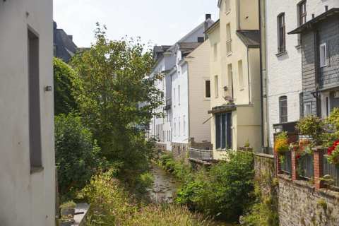 20250809_IMGP5571