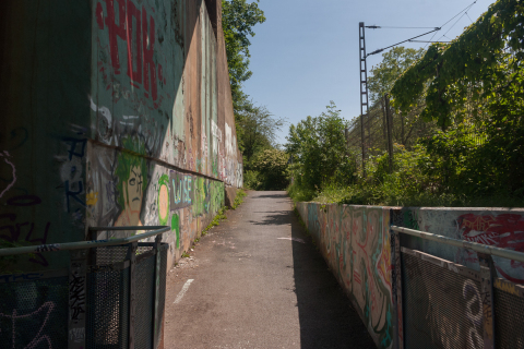 20230527-_IGP0107