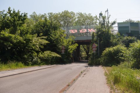 20230527_IGP0090